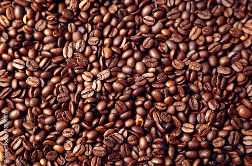 Roasted coffee beans