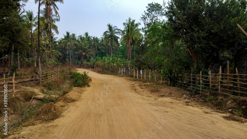 Dusty Road of the village situated in the jungle