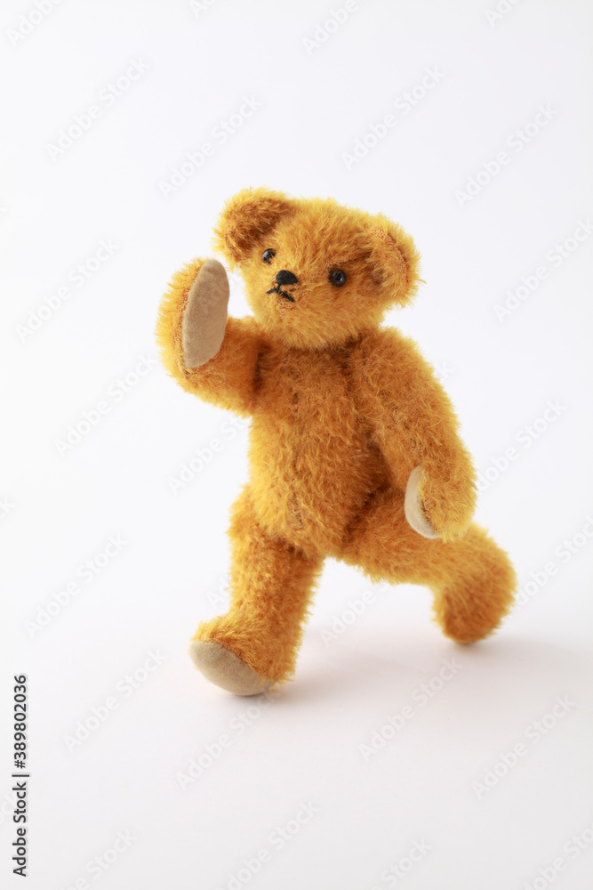 Fototapeta premium テディベア