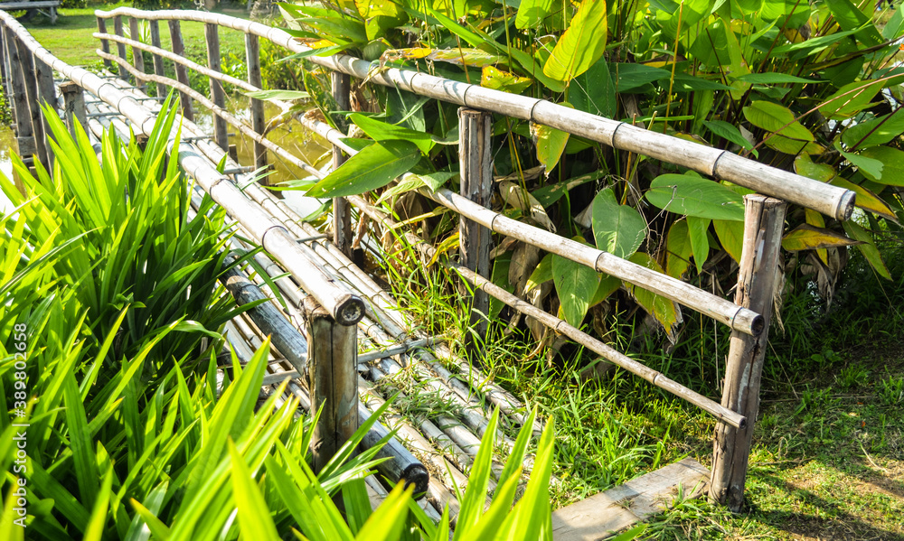 bamboo bridge at rice farm in thailand with copy space.