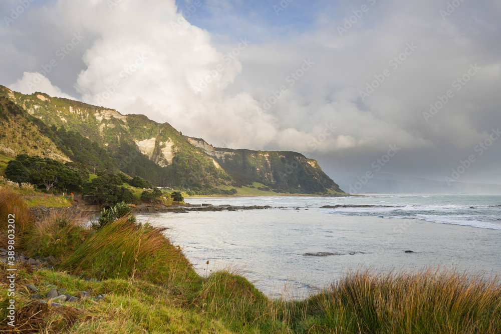 New Zealand coast