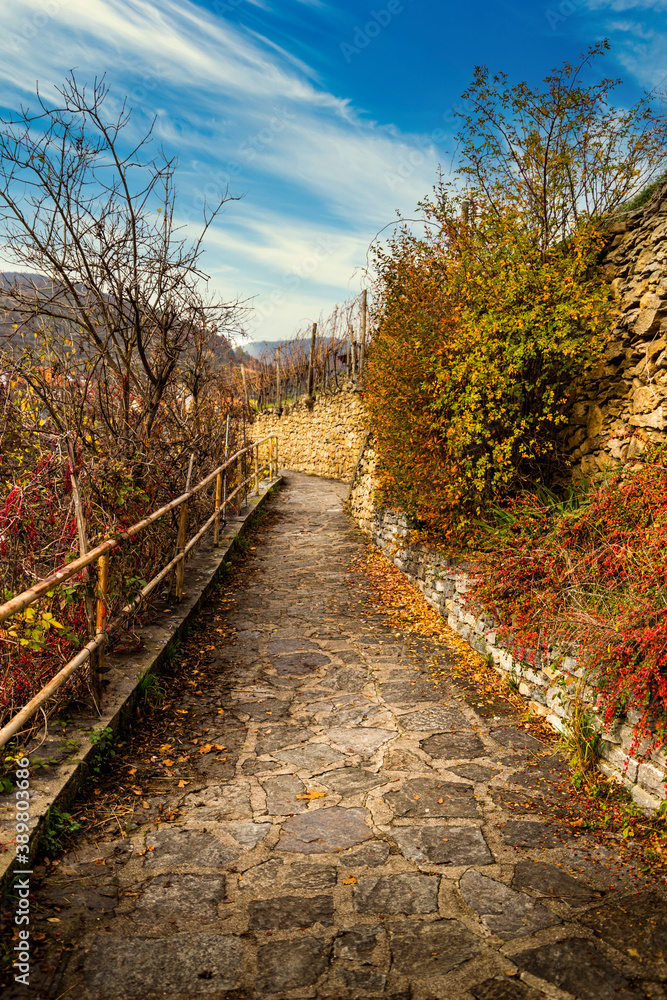 Country road in Wachau valley. Lower Austria. Country road in Wachau valley. Lower Austria.