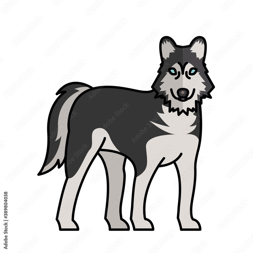 siberian wolf dog pet mascot breed character