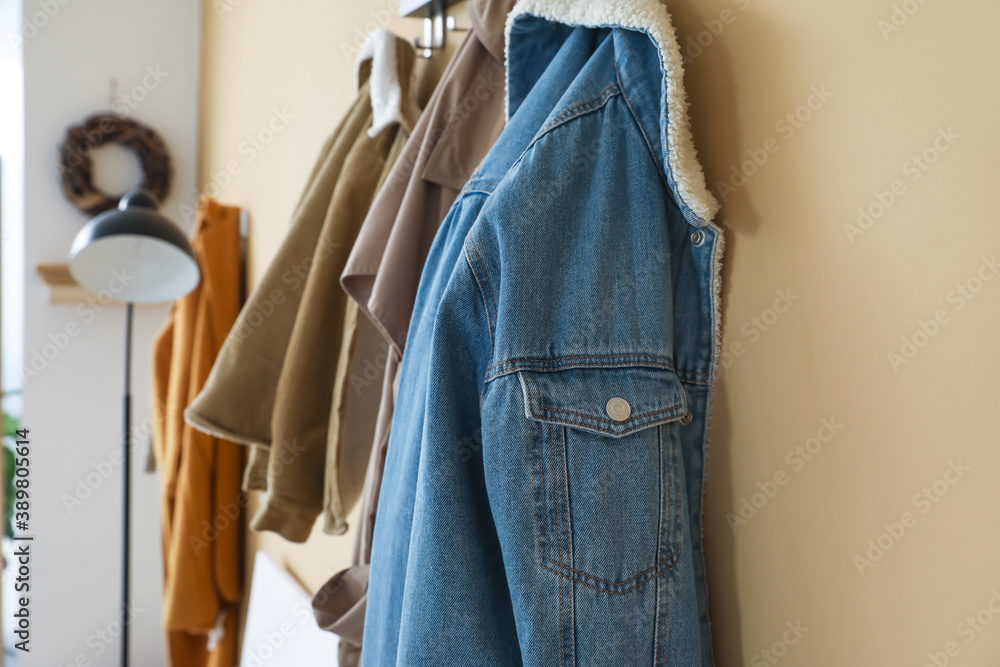 Autumn clothes hanging on wall in modern hall Autumn clothes hanging on wall in modern hall