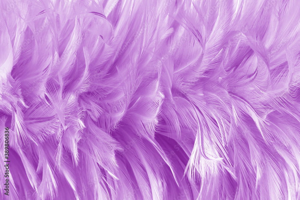 Purple pastel feather pattern texture for background and design.