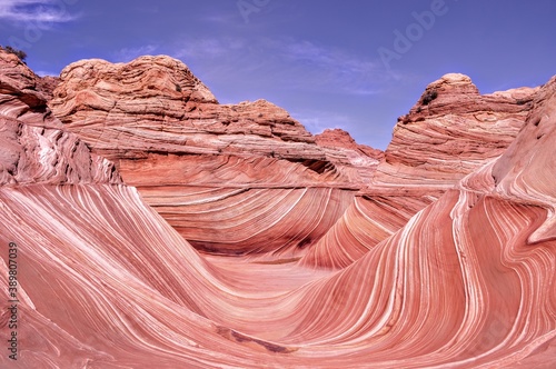 The Wave