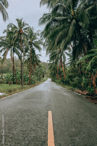 Coconut palms and road in tropical island.