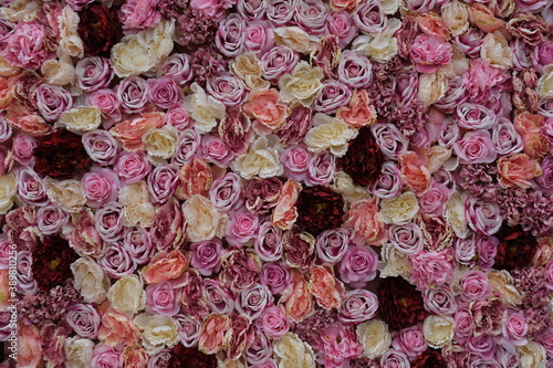 Fototapeta Naklejka Na Ścianę i Meble -  Sfondo realizzato con rose. Background floreale. Sfondo fiori