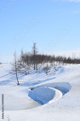 Taimyr tundra in spring © novikovnn