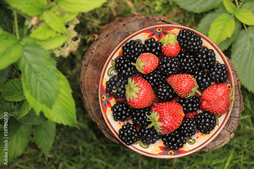 
red strawberries and raspberries around green raspberry leaves