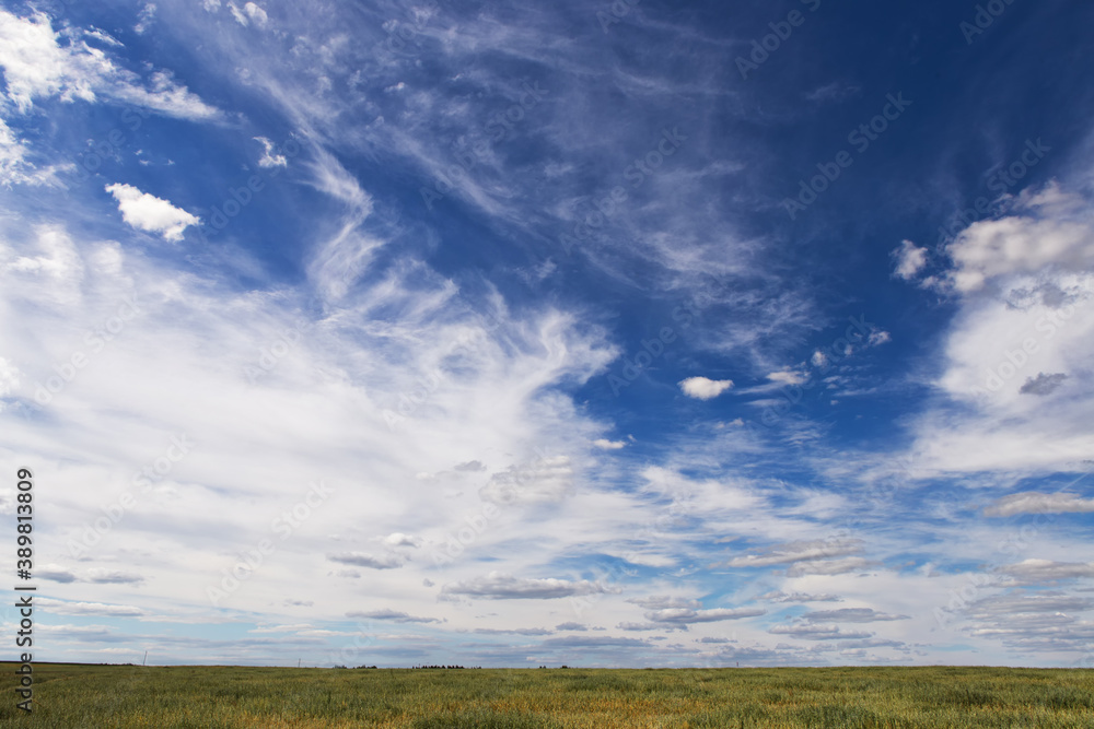 blue sky with variegated clouds over the field blue sky with variegated clouds over the field