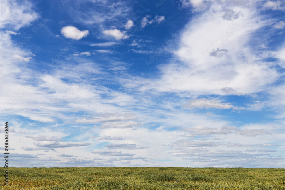 blue sky with variegated clouds over the field