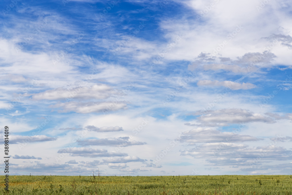 blue sky with variegated clouds over the field blue sky with variegated clouds over the field