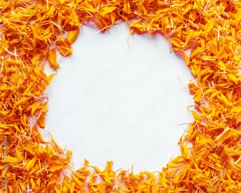 Orange floral Background. Marigold flower petals isolated on white