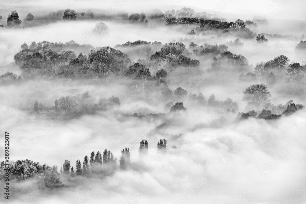 Fototapeta premium Autumn forest wrapped by mist