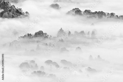Landscape with fog, black and white photography © manuel