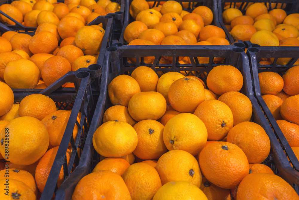 Oranges in boxes at the open-air market or at the wholesale depot of exotic fruits. Local produce at the farmers' market.