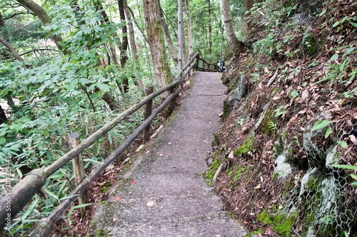 The mountain path in Japan. © Takayan