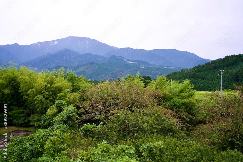 The view of Japanese mountains and trees.