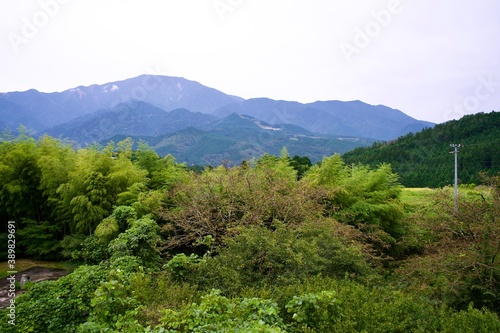 The view of Japanese mountains and trees.