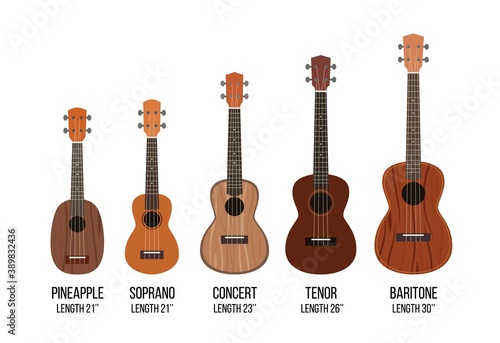 Ukulele isolated on white, different sizes of musical instrument
