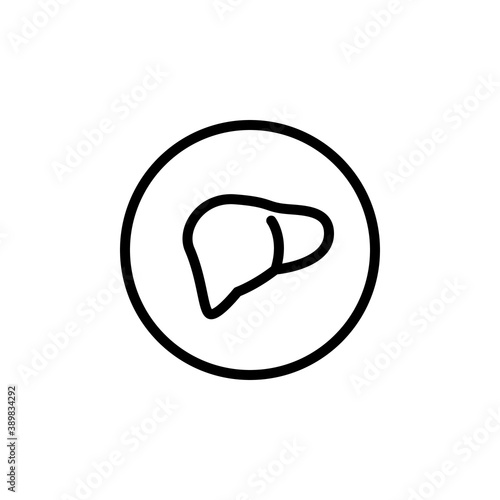 Liver linear medical icon. Vector illustration of liver symbol isolated on white. Design template for medicine or therapy for liver cancer or cirrhosis
