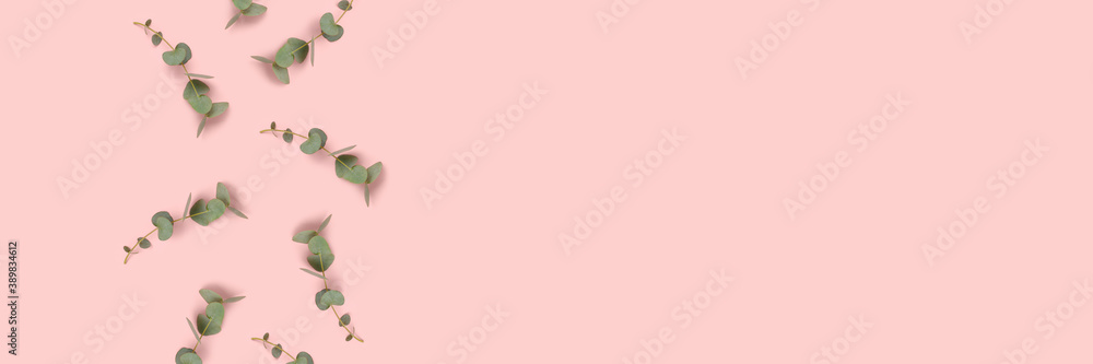 Banner with eucalyptus branches on a pink pastel background. Creative composition with copy space. Banner with eucalyptus branches on a pink pastel background. Creative composition with copy space.