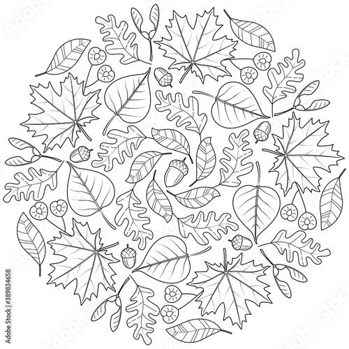 Autumn mandala black and white illustration for coloring