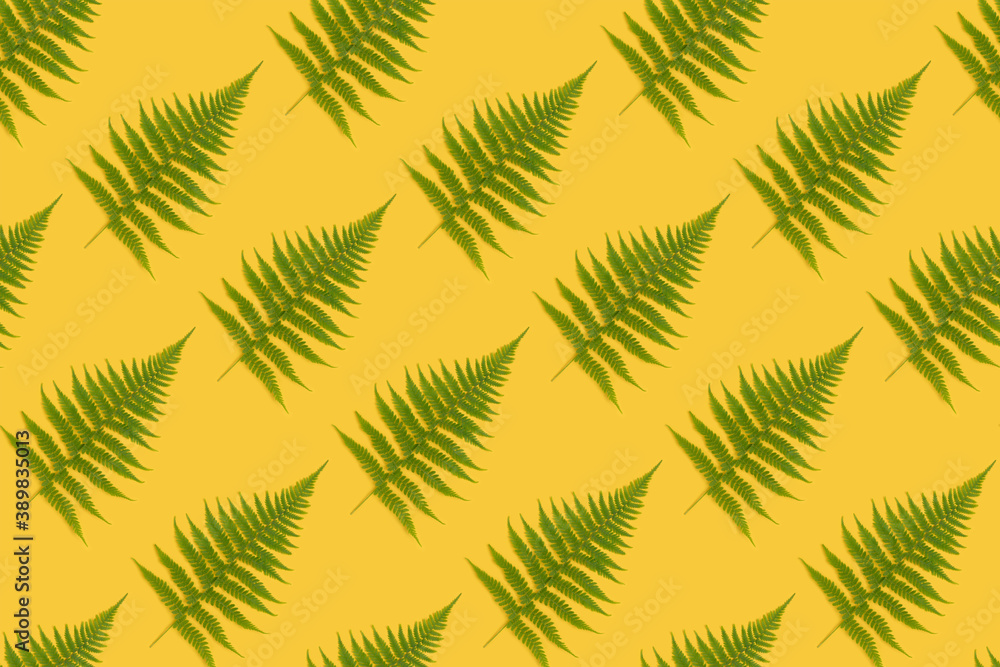 Branches of fern pattern on a yellow background. Creative nature composition.