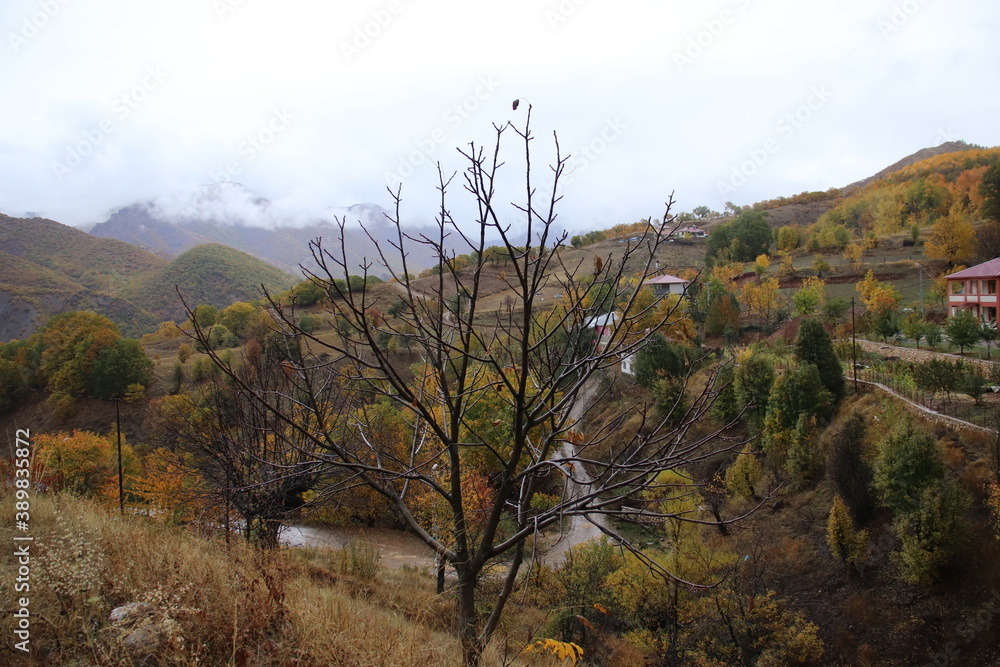 The landscape formed in the forests in the mountains in autumn, the dance of yellow and orange colors, a village on a mountain
