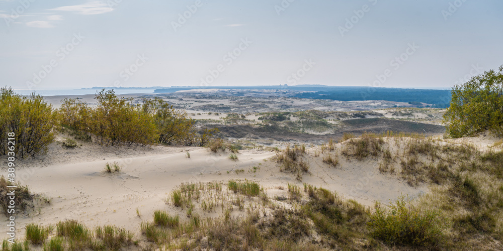 Panoramic view of the sand dunes with vegetation, in the background blue sea and sky with clouds, Kursh Spit, Russia
