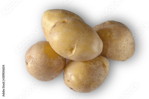 Potato tubers isolate