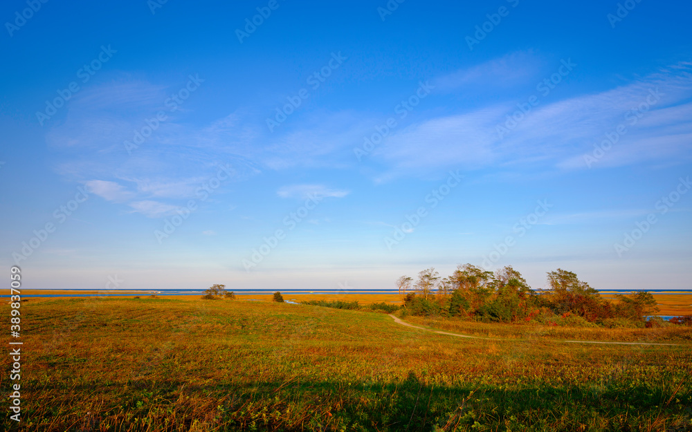 Autumn landscape with winding dirt road leading to circular forest and sea under the blue cloudy sky