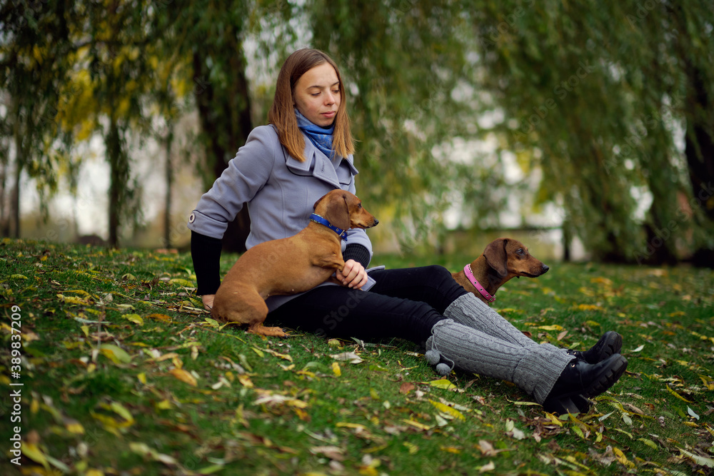 Smiling lady taking free time with her dog. Woman relaxing in the nature with her little dog. Scratching her back. Dog licking her owner nose. Smiling lady taking free time with her dog. Woman relaxing in the nature with her little dog. Scratching her back. Dog licking her owner nose.