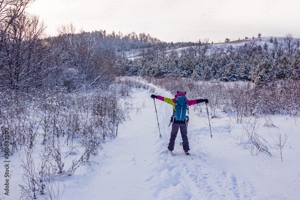 A girl in a ski suit on skis with her hands up in the fresh snow on the background of a snow-covered forest and the sky at sunset A girl in a ski suit on skis with her hands up in the fresh snow on the background of a snow-covered forest and the sky at sunset