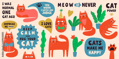 Cute cat characters collection with lettering phrases