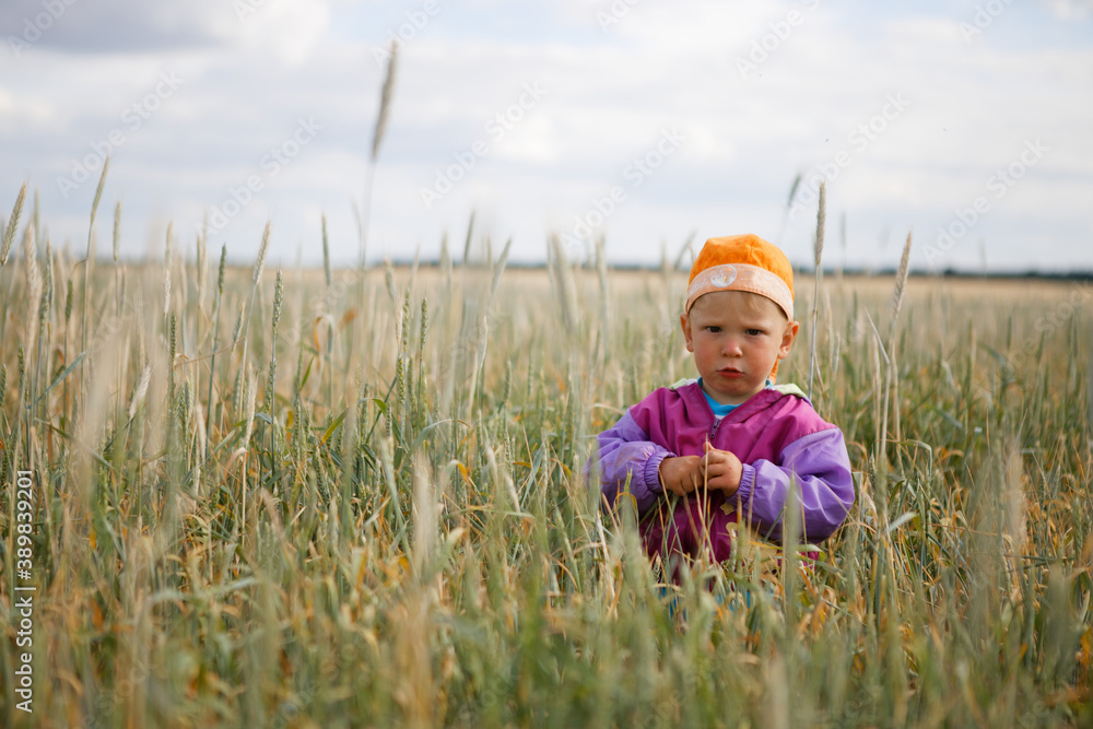 child in a wheat field at sunset child in a wheat field at sunset