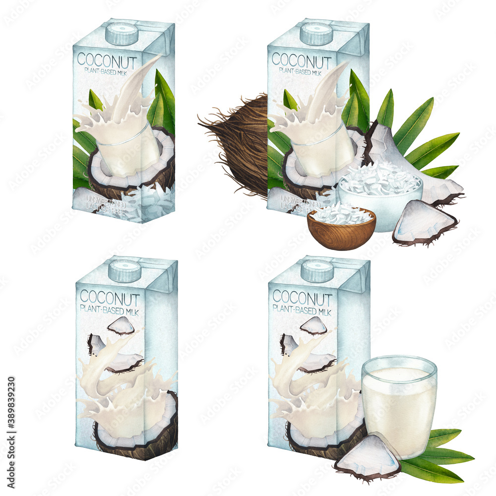 Watercolor collection of plant based coconut milk in cartons with