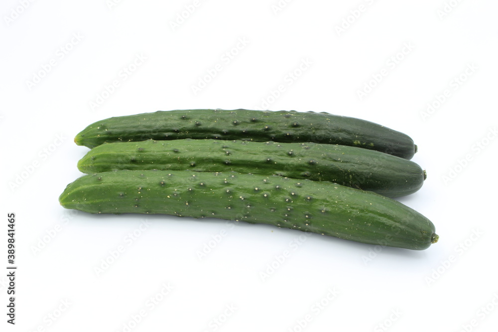 野菜 きゅうり 野菜 きゅうり