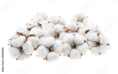 cotton bud isolated