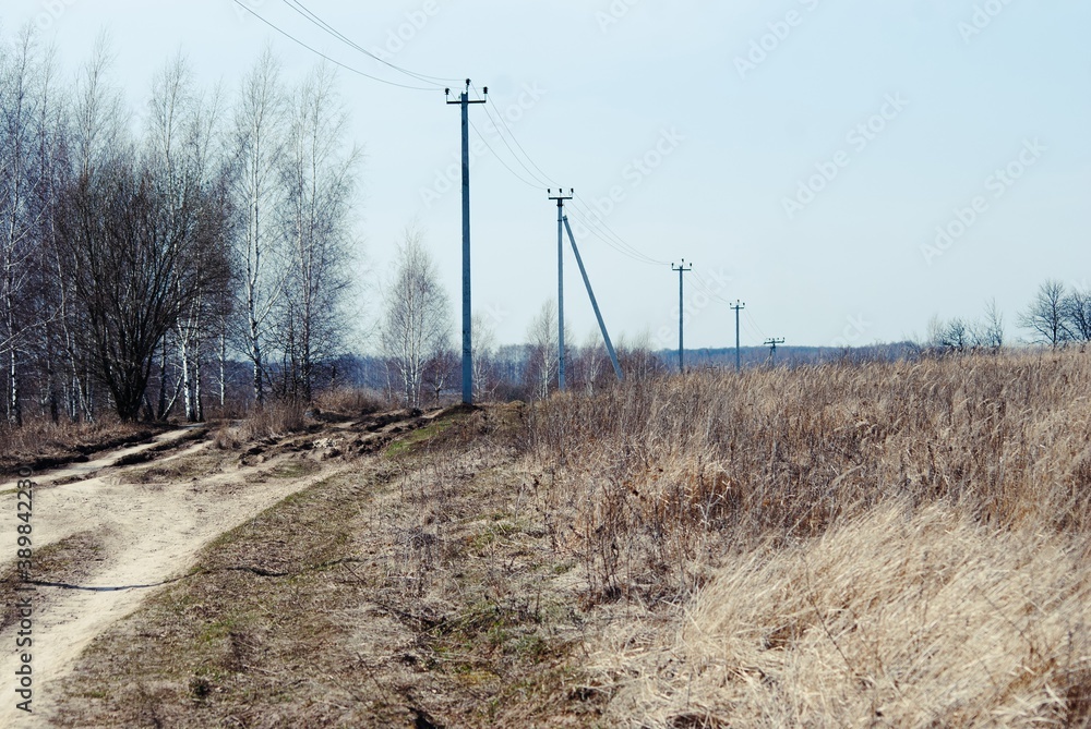 dirt road on the edge of the village in spring