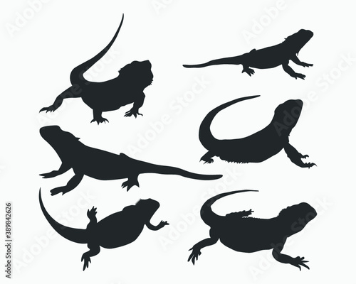 Bearded dragon vector silhouette