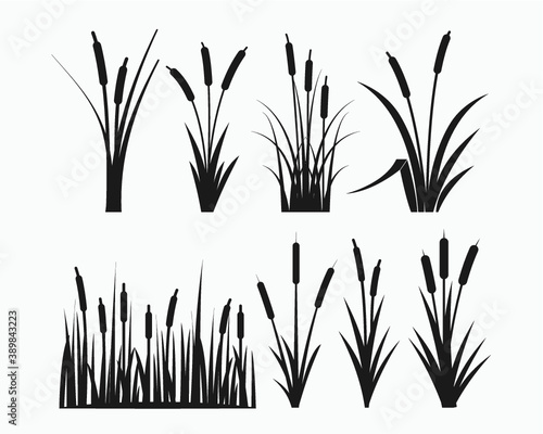 Cattail Symbol Vector Illustration