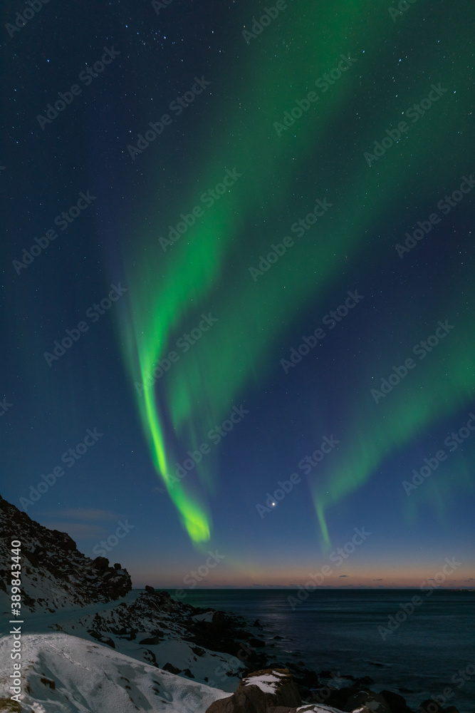 Spectacular dancing green strong northern lights over the famous round boulder beach near Uttakleiv on the Lofoten islands in Norway on clear winter night with snow-clad mountains