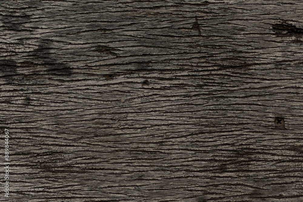 wood texture wood texture