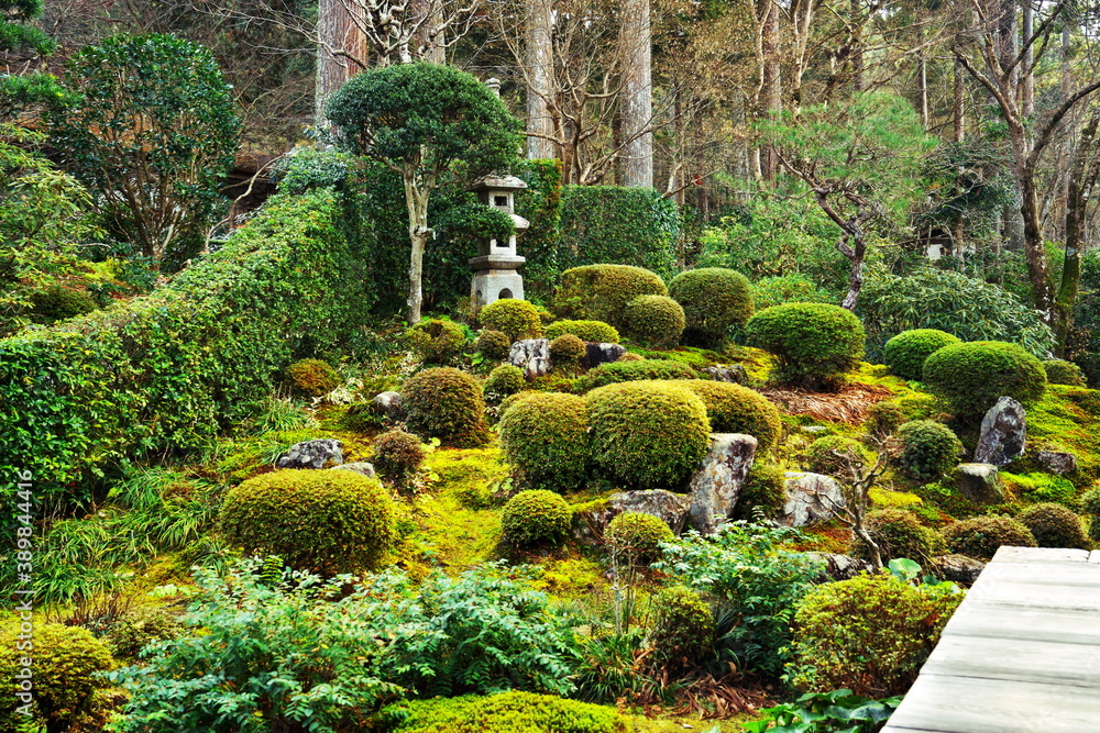 新春の大原で見た日本庭園