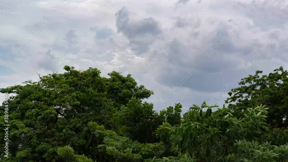 Time-lapse video of clouds and trees Time-lapse video of clouds and trees