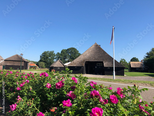 The village Beerze in Overijssel