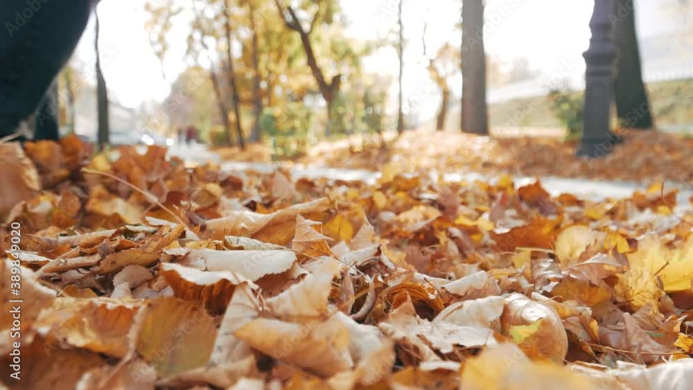 A man walks on dry yellow autumn leaves in good weather. Slow motion A man walks on dry yellow autumn leaves in good weather. Slow motion
