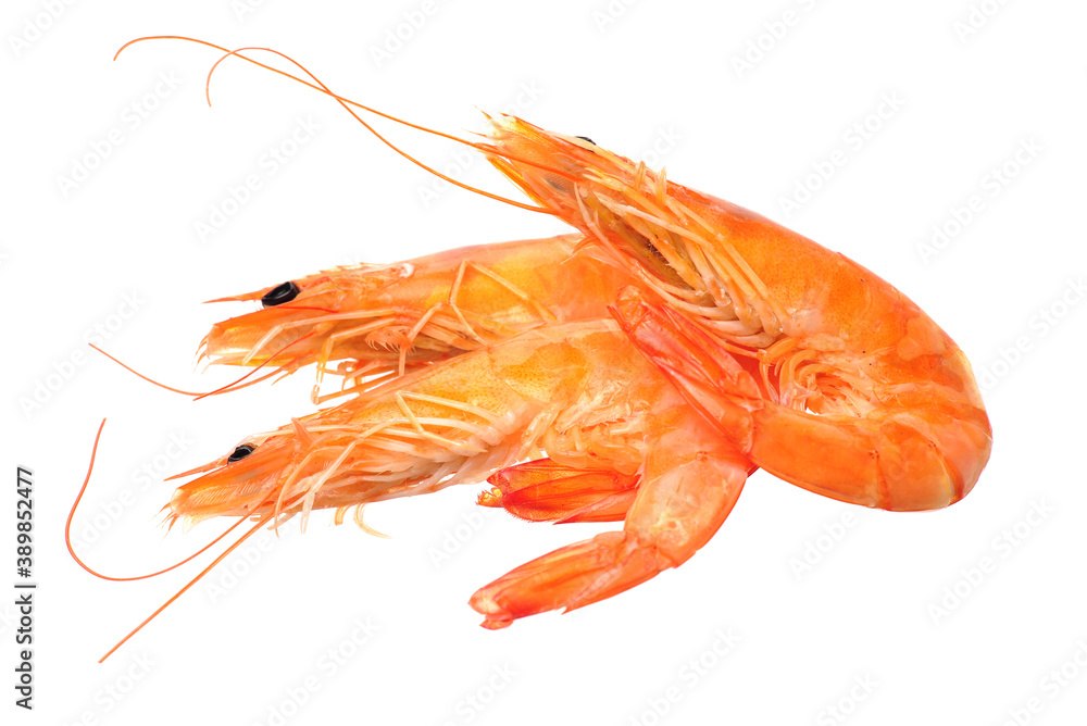 shrimps on white background